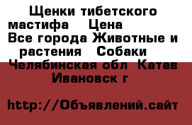 Щенки тибетского мастифа. › Цена ­ 30 000 - Все города Животные и растения » Собаки   . Челябинская обл.,Катав-Ивановск г.